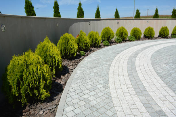 Best Custom Driveway Pavers  in Reidville, SC